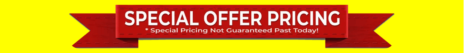 ViriFlow -limited-time-special-offer-logo